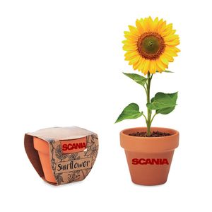 GiftRetail MO6147 - SUNFLOWER Terracotta pot 'sunflower' Wood