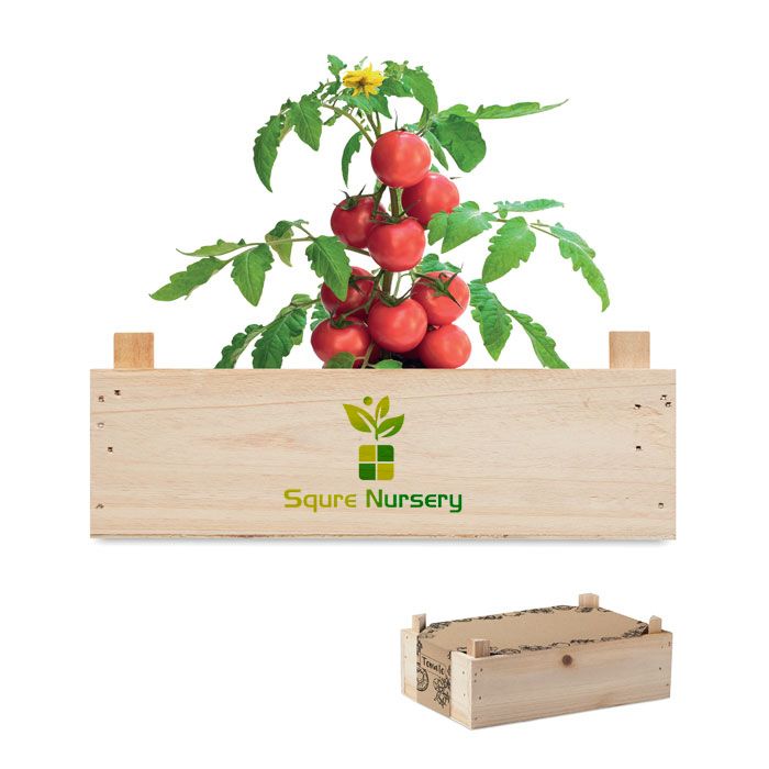 GiftRetail MO6498 - TOMATO Tomato kit in wooden crate