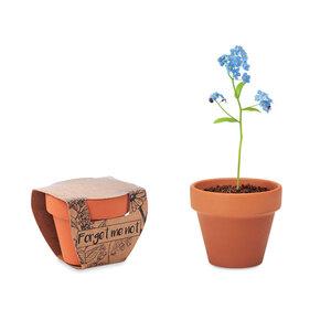 GiftRetail MO6146 - FORGET ME NOT Terracotta pot forget me not